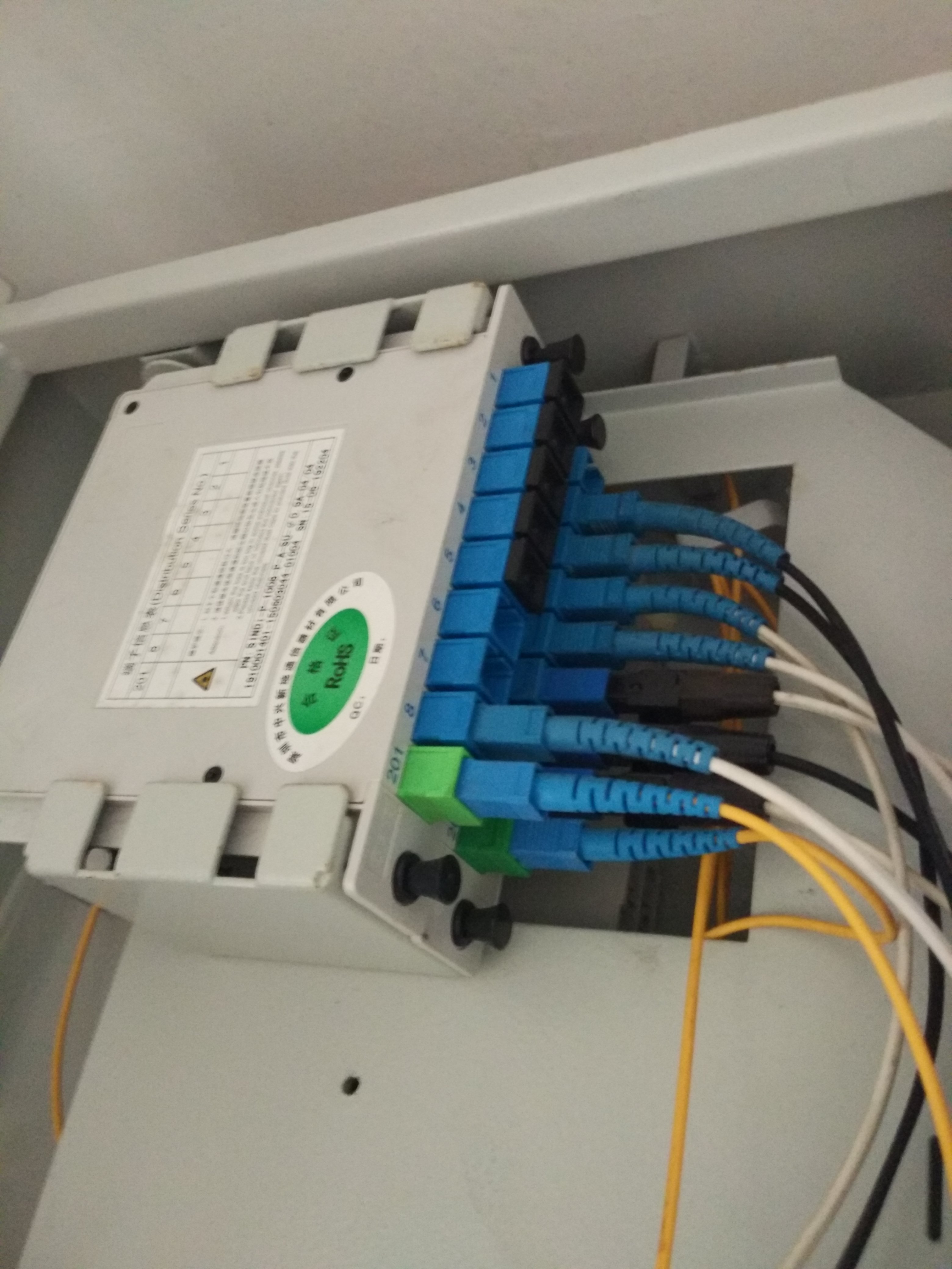 wp-1466416490468.jpg